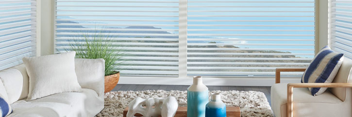Choose Silhouette Clearview by Hunter Douglas for your home's large windows.