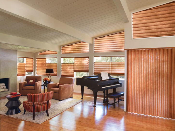 Hunter Douglas modern roman shades vignette