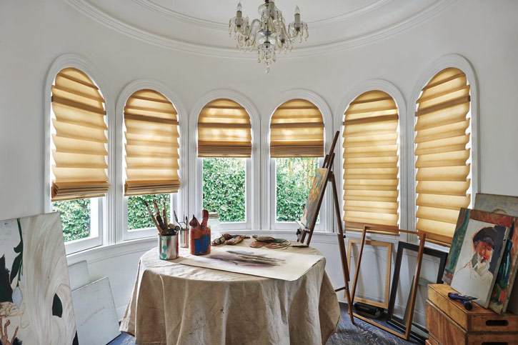 Hunter Douglas modern roman shades vignette