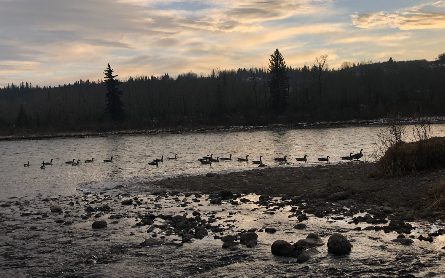 Cochrane Blinds expert Kirstin, explores the Bow River and Cochrane, Alberta.